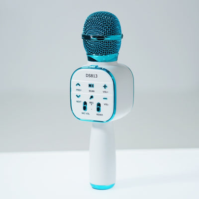 Microfon Karaoke cu bluetooth, boxa incorporata si FM, DS-813