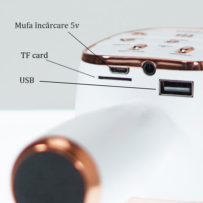 Microfon Karaoke cu bluetooth, boxa incorporata si FM, DS-813