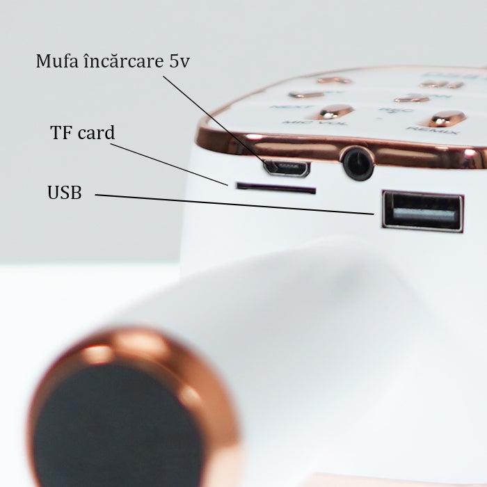 Microfon Karaoke cu bluetooth, boxa incorporata si FM, DS-813