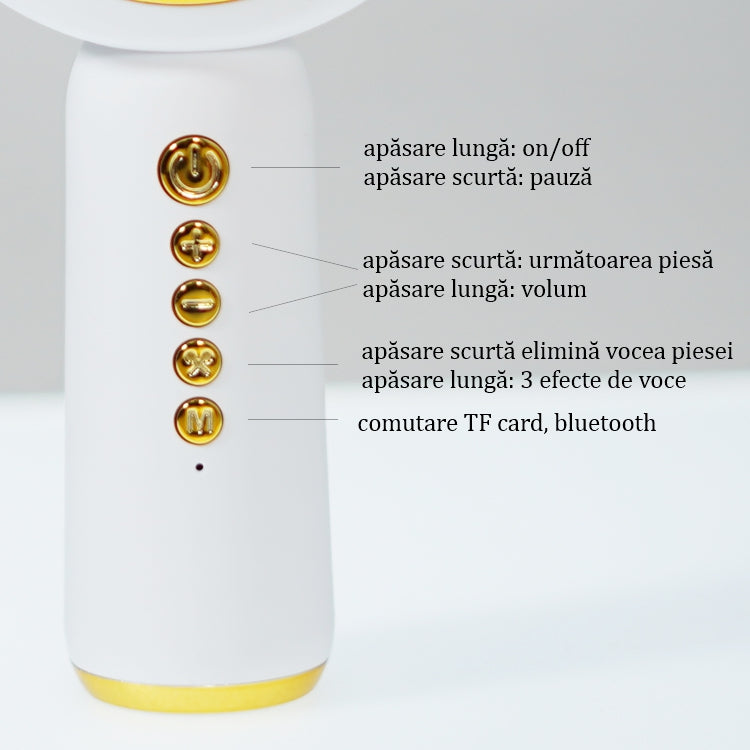 Microfon Karaoke cu bluetooth, boxa incorporata si lumini, Bunny