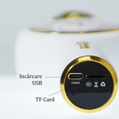 Microfon Karaoke cu bluetooth, boxa incorporata si lumini, Bunny